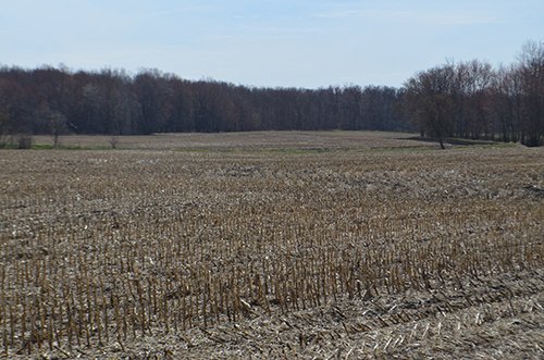 Property photo 177 - REAL ESTATE & PERSONAL PROPERTY AUCTION, 140 Acres offered in 8 Tracts or Combinations in Steuben County